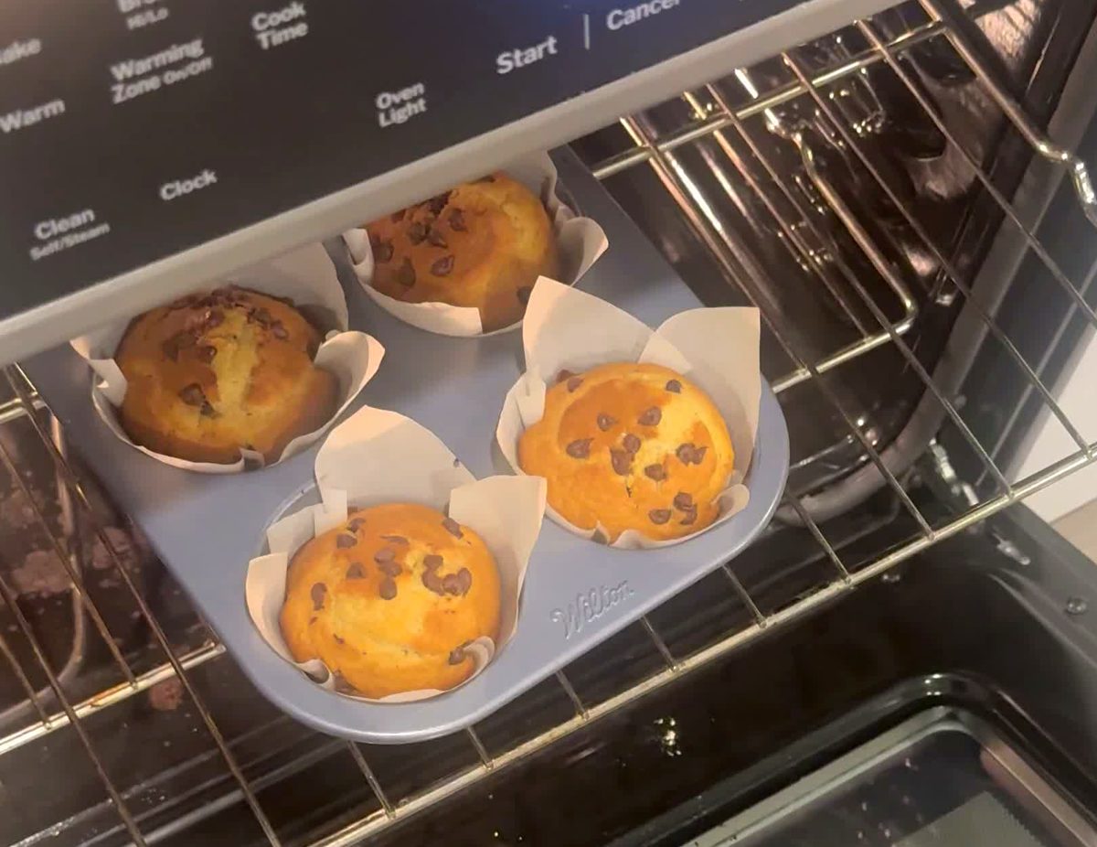 Chocolate chip muffins in tulip liners fresh from the oven